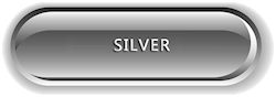 Aanvraagformulier powerSITE Silver